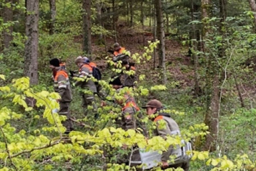 Zivilschützer im Wald