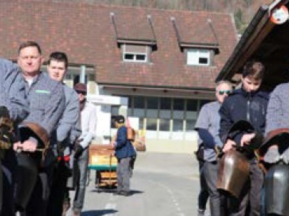 Treichle Fründe