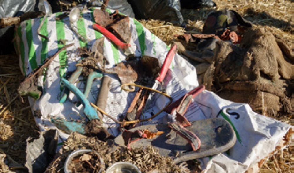 Plastik in der Grünabfuhr