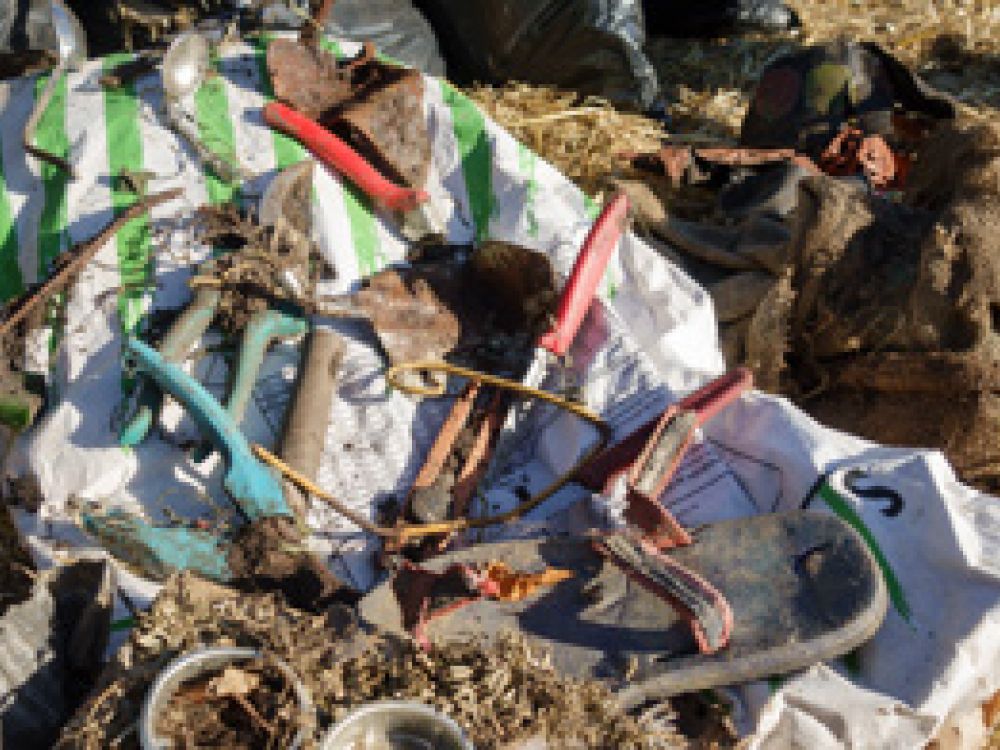 Plastik in der Grünabfuhr