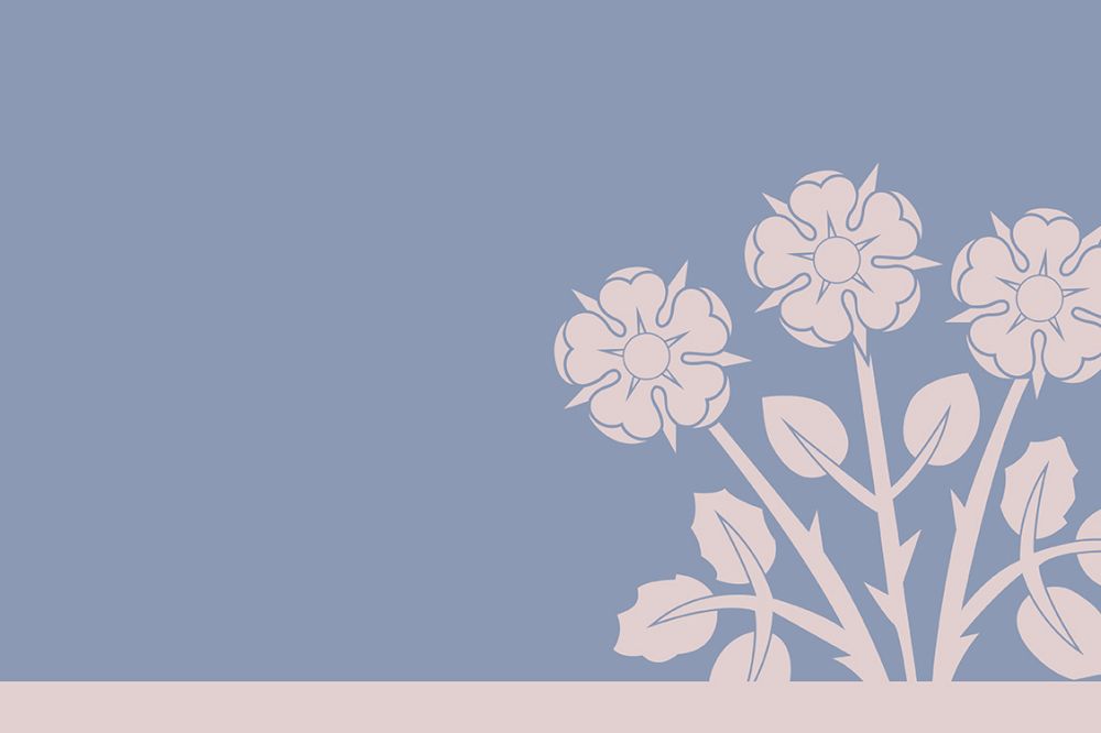 Kolumnentitel drei Rosen