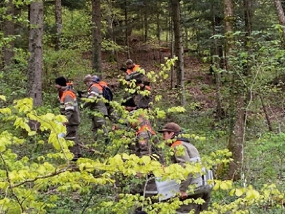 Zivilschützer im Wald