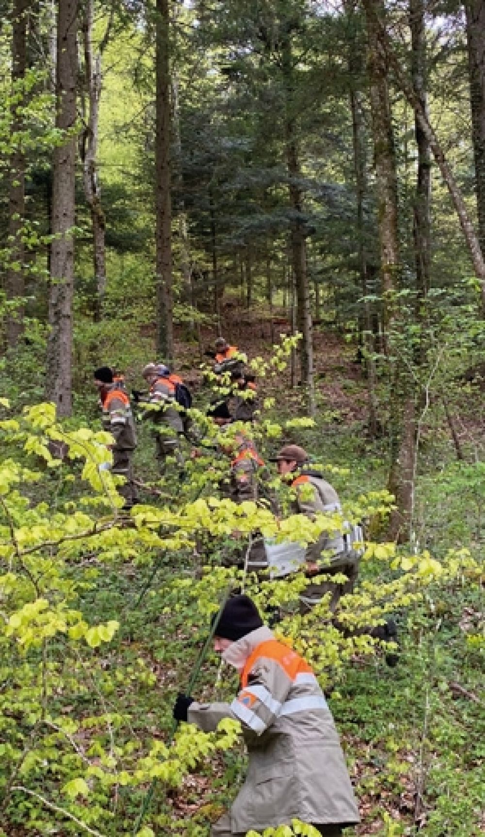 Zivilschützer im Wald